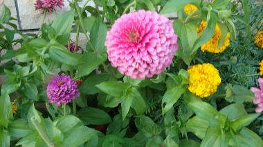 Apartments Marija �urjak