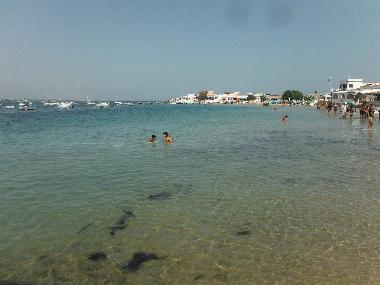 Holiday House in Olho (Algarve) or holiday homes and vacation rentals