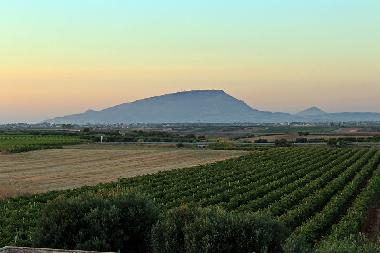 Bed and Breakfast in marsala (Trapani) or holiday homes and vacation rentals