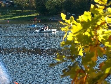 Holiday Apartment in Manderfeld (Wallonia) or holiday homes and vacation rentals