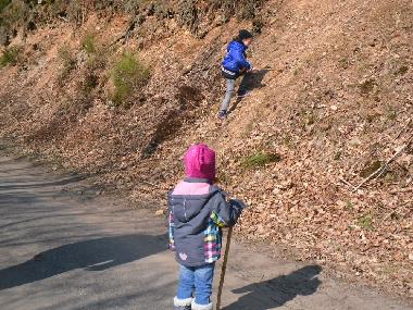 Holiday Apartment in Manderfeld (Wallonia) or holiday homes and vacation rentals