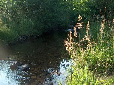 Holiday Apartment in Manderfeld (Wallonia) or holiday homes and vacation rentals