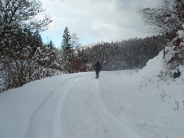 Holiday Apartment in Manderfeld (Wallonia) or holiday homes and vacation rentals