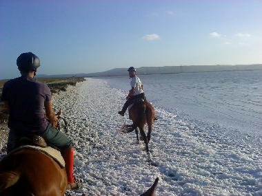 Holiday House in San Giovanni Suergiu (Carbonia-Iglesias) or holiday homes and vacation rentals