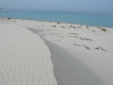 Holiday House in San Giovanni Suergiu (Carbonia-Iglesias) or holiday homes and vacation rentals