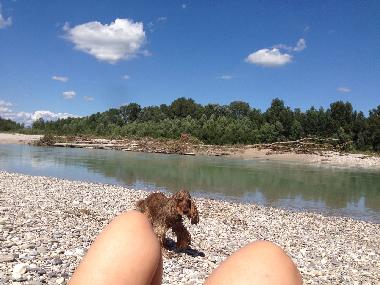 Villa in Bibione (Venezia) or holiday homes and vacation rentals