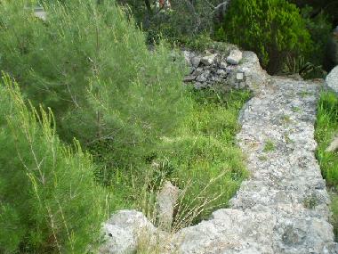 Holiday House in Pat (Lecce) or holiday homes and vacation rentals