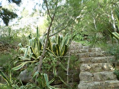 Holiday House in Pat (Lecce) or holiday homes and vacation rentals