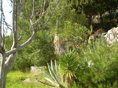 Holiday House in Pat (Lecce) or holiday homes and vacation rentals