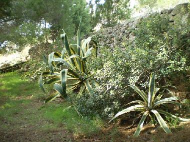 Holiday House in Pat (Lecce) or holiday homes and vacation rentals