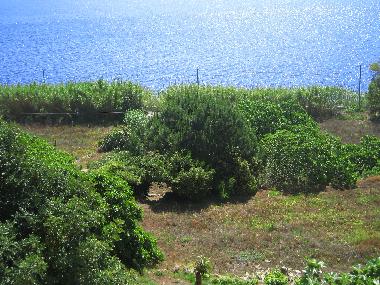 Holiday Apartment in Tricase Porto (Lecce) or holiday homes and vacation rentals