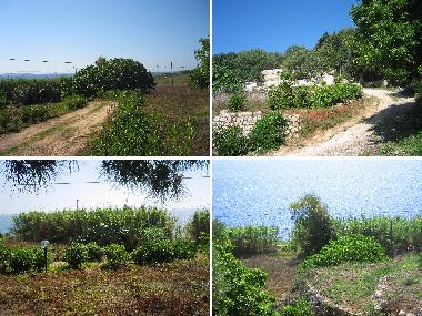 Holiday Apartment in Tricase Porto (Lecce) or holiday homes and vacation rentals