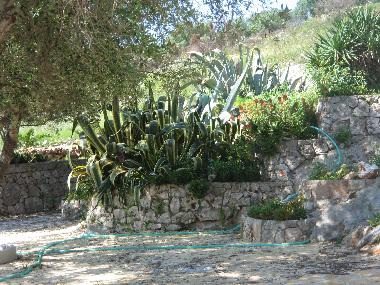 Holiday Apartment in Tricase Porto (Lecce) or holiday homes and vacation rentals