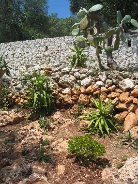 Holiday Apartment in Tricase Porto (Lecce) or holiday homes and vacation rentals