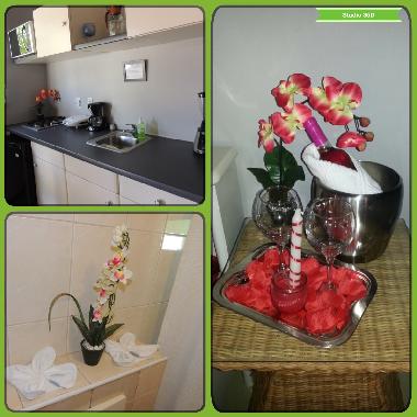 Holiday Apartment in cas cora weg (Curacao) or holiday homes and vacation rentals