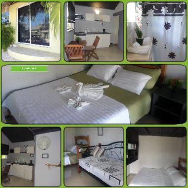 Holiday Apartment in cas cora weg (Curacao) or holiday homes and vacation rentals