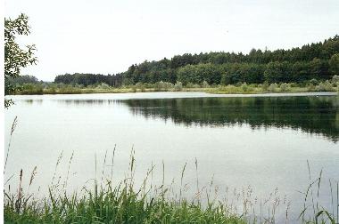 Holiday Apartment in Hohenfels (Lake of Constance) or holiday homes and vacation rentals