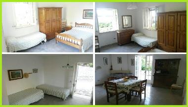 Villa in Tricase (Lecce) or holiday homes and vacation rentals