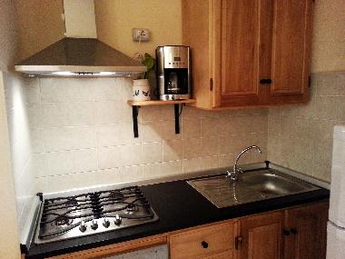 Holiday Apartment in Radicondoli-Montalcinello (Siena) or holiday homes and vacation rentals