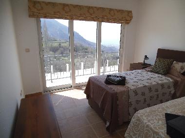 Two Single Beds