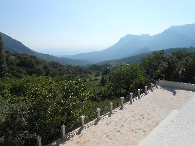 View from Roof Area