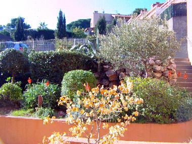 Holiday Apartment in Collioure (Pyr�n�es-Orientales) or holiday homes and vacation rentals