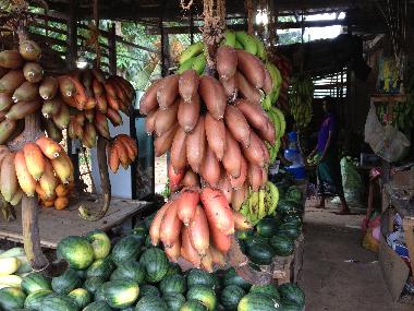 Villa in Mirissa, Thalaramba (Matara) or holiday homes and vacation rentals