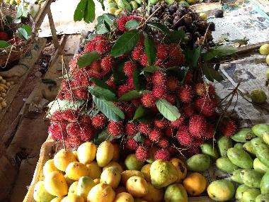 Villa in Mirissa, Thalaramba (Matara) or holiday homes and vacation rentals