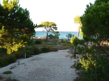 Holiday Apartment in Calvi (Haute-Corse) or holiday homes and vacation rentals
