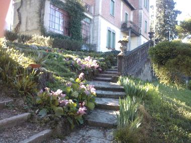 Holiday Apartment in Lierna (Lecco) or holiday homes and vacation rentals