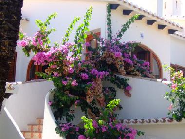 Holiday Apartment in Denia  (Alicante / Alacant) or holiday homes and vacation rentals