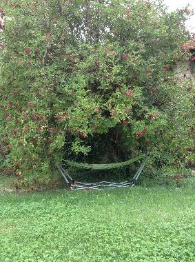 Villa in Viols (Vaucluse) or holiday homes and vacation rentals