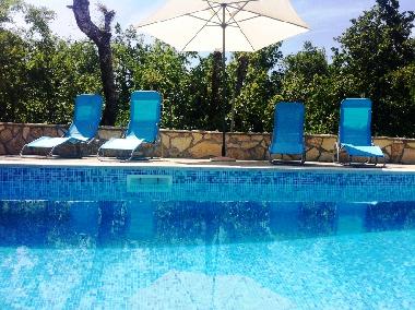 Villa in Zagvozd (Splitsko-Dalmatinska) or holiday homes and vacation rentals