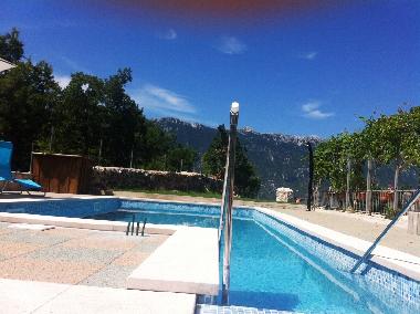 Villa in Zagvozd (Splitsko-Dalmatinska) or holiday homes and vacation rentals