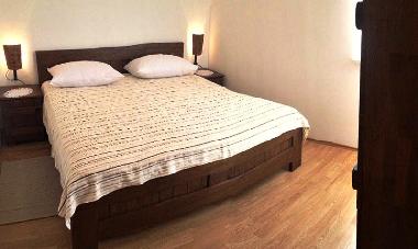 Villa in Zagvozd (Splitsko-Dalmatinska) or holiday homes and vacation rentals