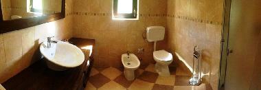 Villa in Zagvozd (Splitsko-Dalmatinska) or holiday homes and vacation rentals