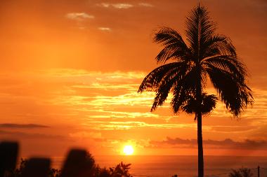 Bed and Breakfast in St JOSEPH (R�union) or holiday homes and vacation rentals