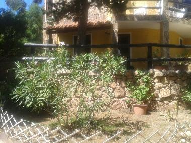 Holiday Apartment in porto istana (Olbia-Tempio) or holiday homes and vacation rentals