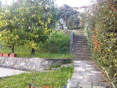 Villa in Avegno (Genova) or holiday homes and vacation rentals