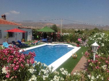 Villa in ALBOX (Almera) or holiday homes and vacation rentals
