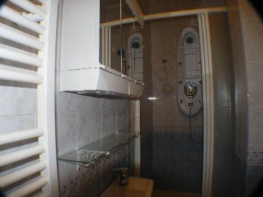 Shower room with built in shower, hand basin and toilet