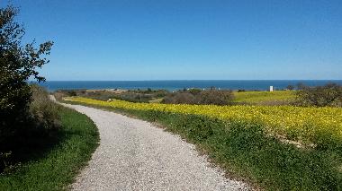 Holiday Apartment in Altidona (Ascoli Piceno) or holiday homes and vacation rentals