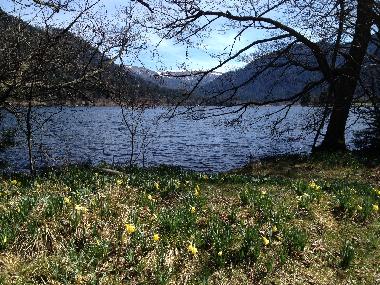 Holiday Apartment in Gerardmer (Vosges) or holiday homes and vacation rentals