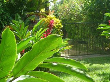 Holiday House in Las Terrenas (Samana) or holiday homes and vacation rentals