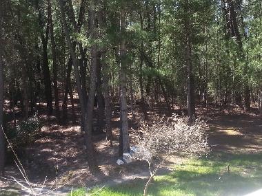 Holiday House in malbosc (Ard�che) or holiday homes and vacation rentals