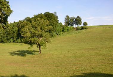 Holiday House in Lennestadt (Sauerland) or holiday homes and vacation rentals