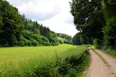 Holiday House in Lennestadt (Sauerland) or holiday homes and vacation rentals