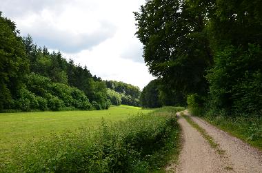 Holiday Apartment in Lennestadt (Sauerland) or holiday homes and vacation rentals