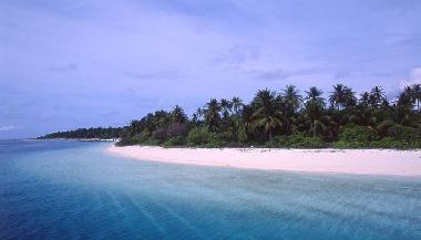 Bed and Breakfast in china town (Kaafu) or holiday homes and vacation rentals