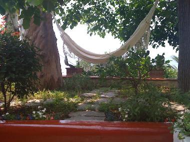 Bed and Breakfast in positano (Salerno) or holiday homes and vacation rentals